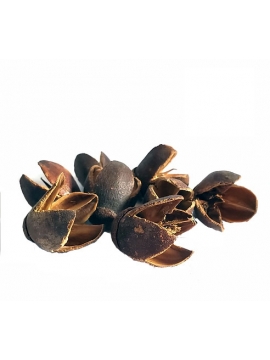 Speciosa Pods