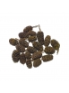 Alder Cones (50)