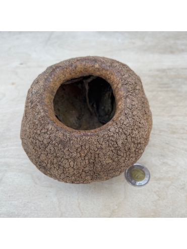 Monkey Pot Jumbo (1)