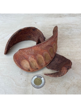 Elephant Ear Pods (3)