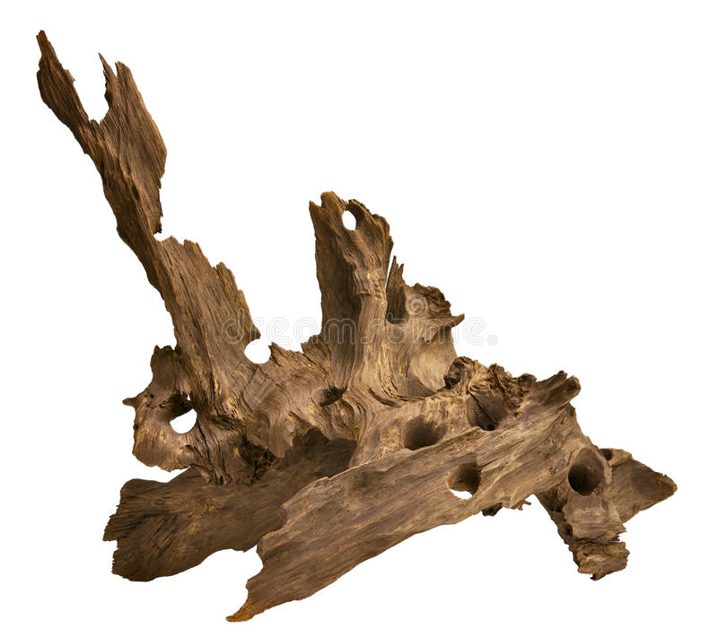 Driftwood